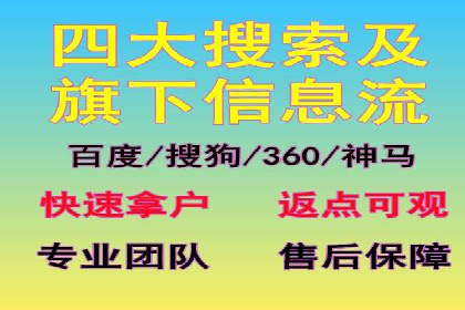 行业报告：专业SEM托管的成功实践与挑战